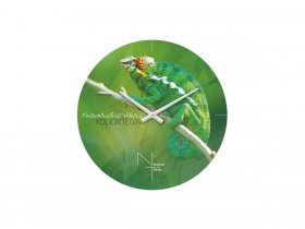 Часы настенные Nicole Time NT503 в Карасуке - karasuk.mebel-nsk.ru | фото