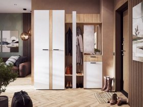 Модульная прихожая Санса (дуб сонома/белый) в Карасуке - karasuk.mebel-nsk.ru | фото
